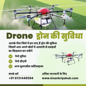 Drone Service